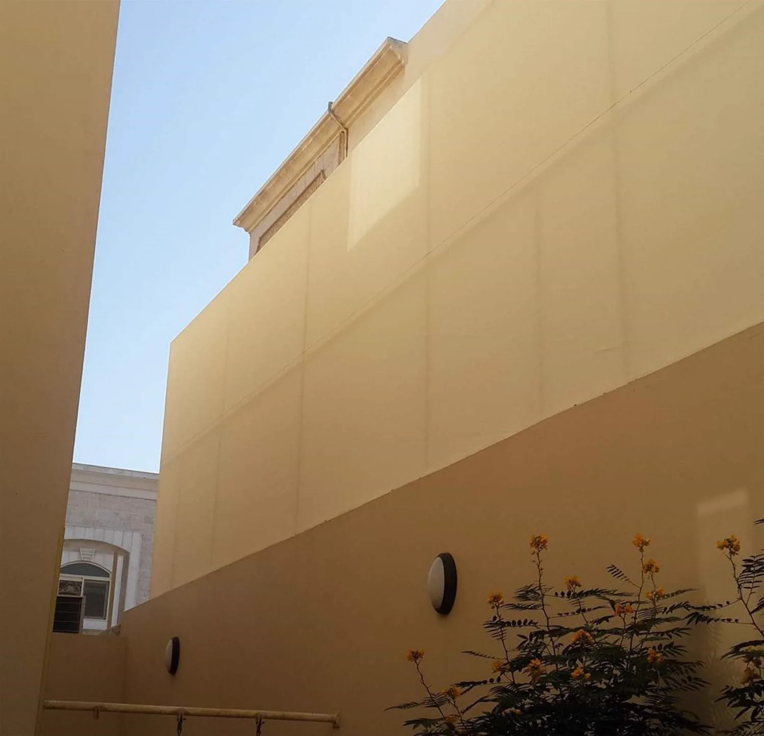 ركن خارجي لمبنى بلون فاتح مع نباتات عند القاعدة